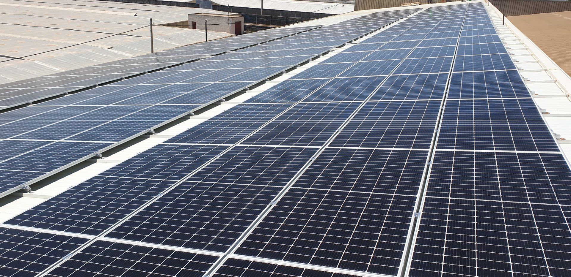 Almacén Hortofrutícola - El Ejido